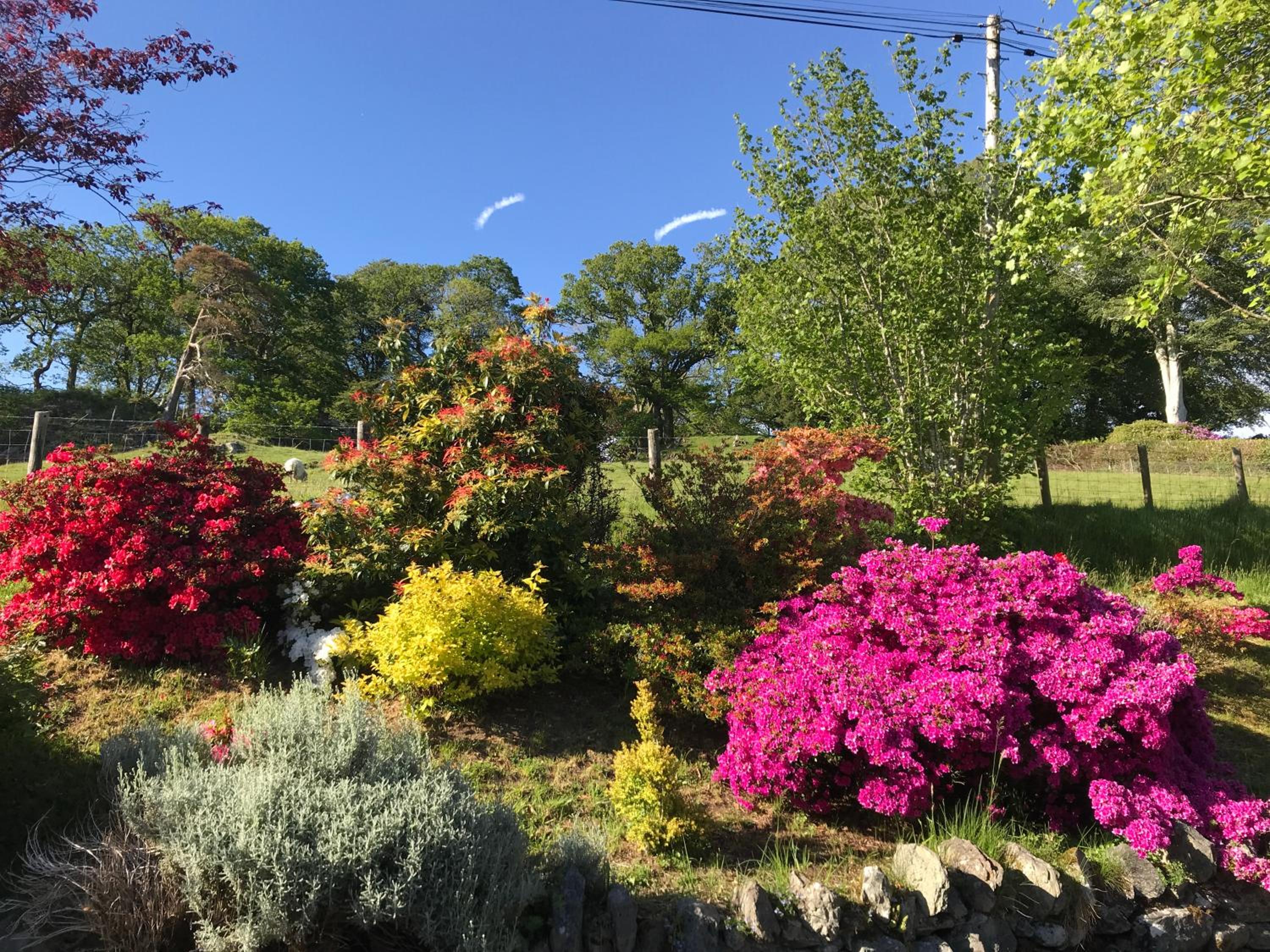 Heulwen Guest House