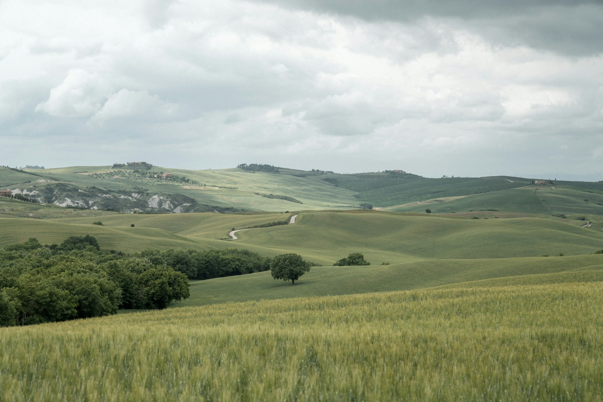 A quiet country lane lined with cypress trees and rolling fields — Val d'Orcia loop in Tuscany.